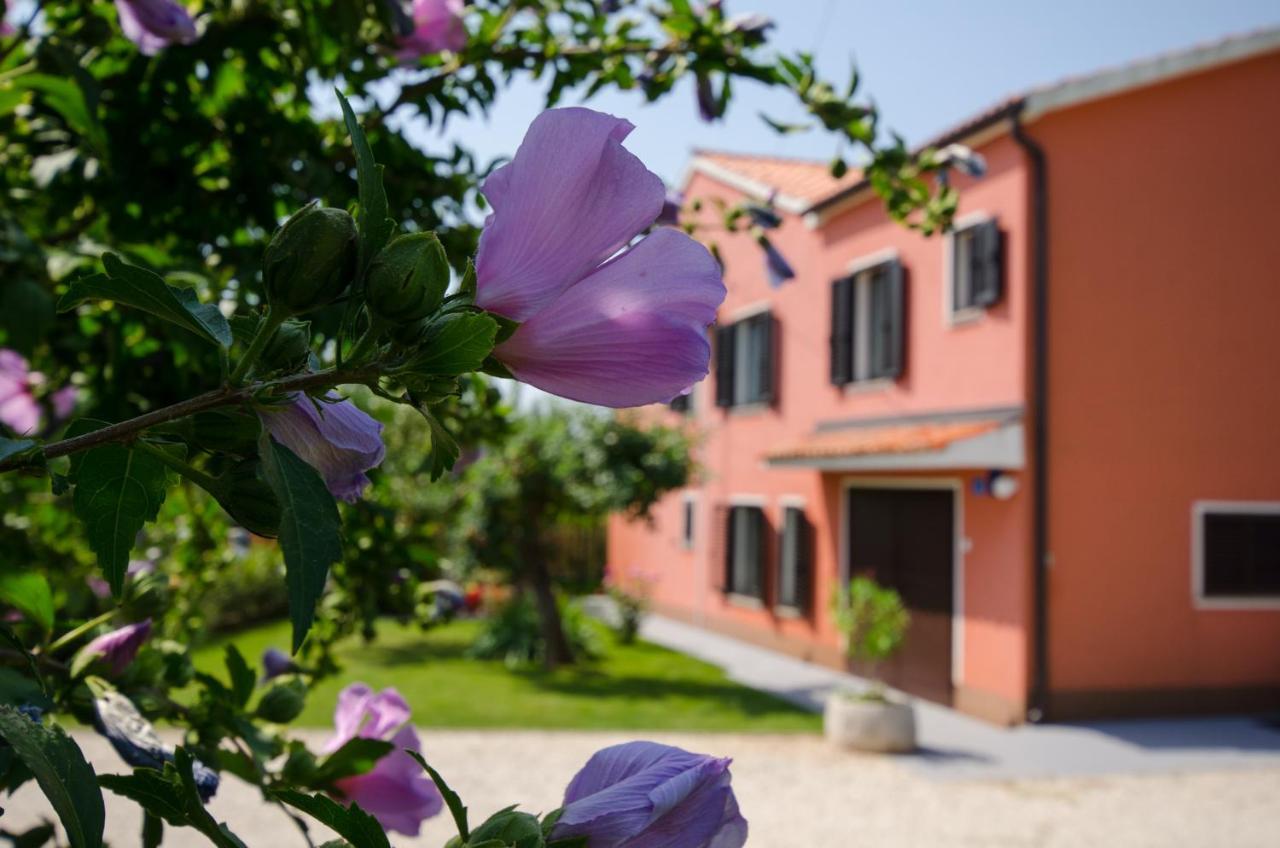 Villa Roza 우마그 외부 사진
